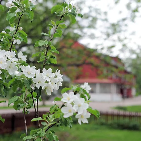 Krapi Tuusula